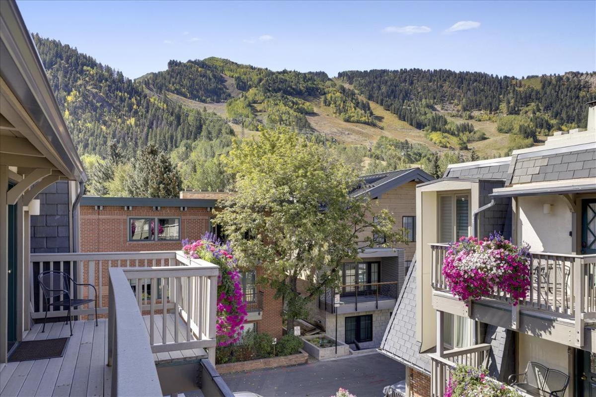 Apartment Lovely With Mountain Views & Hot Tub